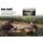 Carp in Focus 119