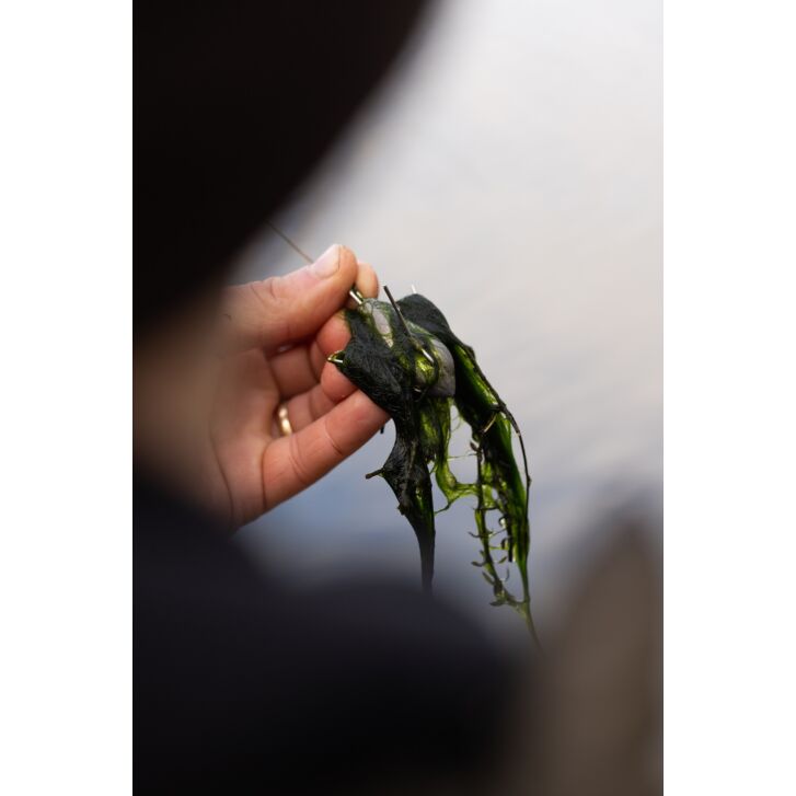 Korda Grapple Lead 3oz
