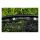 Preston Monster XS Lift Net