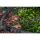 Preston Monster XS Lift Net 20"