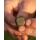Avid Conceal Back Lead - 1.5oz/42g