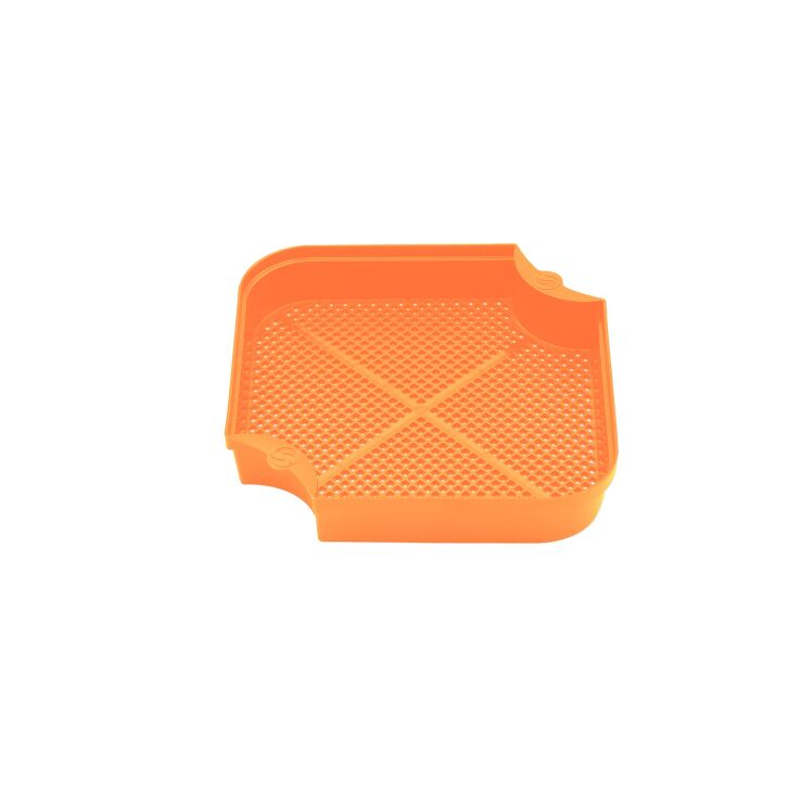 Guru Maggot Riddle Orange