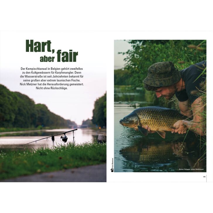 Carp in Focus 120