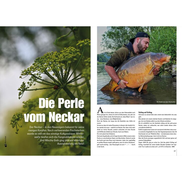 Carp in Focus 120