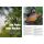 Carp in Focus 120