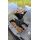 CARP ROYAL HURRICANE MIT FERNBEDIENUNG PULSE
