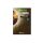 Korda Loop Rigs Krank (18 lb) Size 6