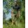 Korda Kore Kombat Shorts Military Olive L