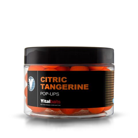 VitalBaits Pop-ups Citric-Tangerine