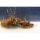 My Baits Destruction Insects
